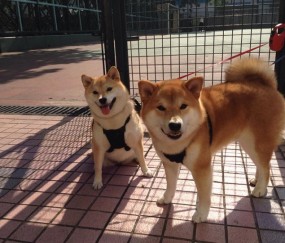 开云体育直播-鏖战突尼斯，楚阿梅尼奥运周期关键战接管比赛，新一代中场领袖的诞生