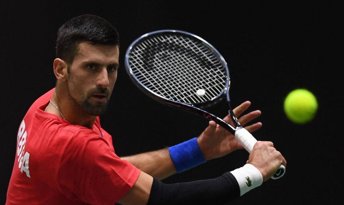 戴维斯杯横扫年终总决赛,德约科维奇惊艳四座 戴维斯杯横扫年终总决赛,德约科维奇惊艳四座