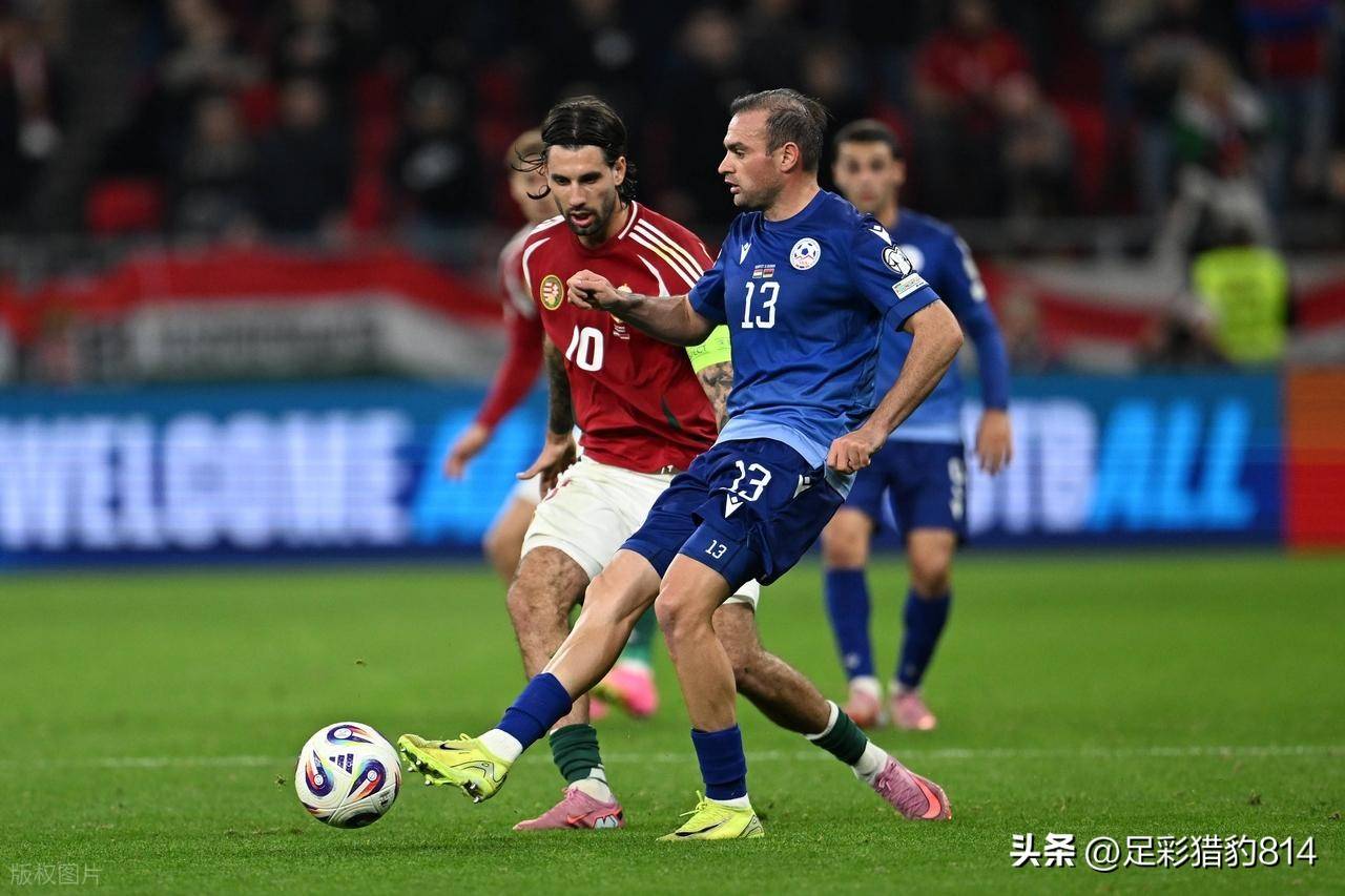 匈牙利队在欧预赛中取得关键胜利 匈牙利队在欧预赛中取得关键胜利