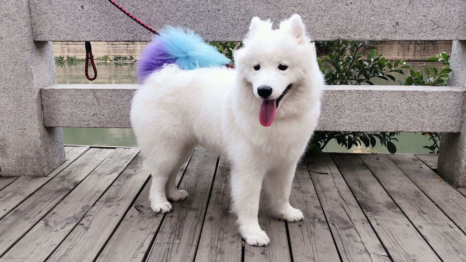 卡瓦哈尔一剑封喉，阿森纳打穿爱尔兰防线提前锁定胜局